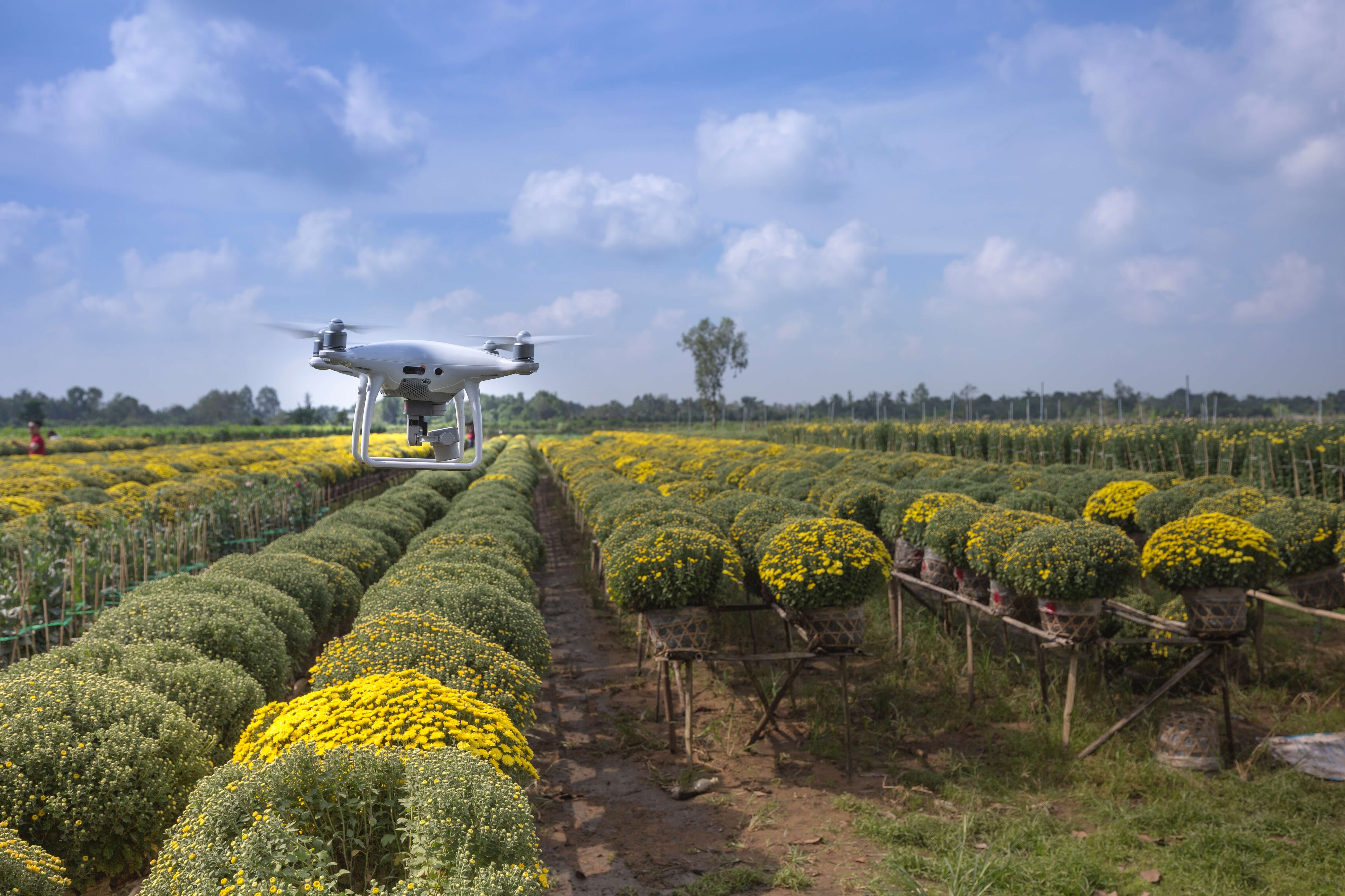 Artificial Intelligence in Agriculture: The Production Method of the Future